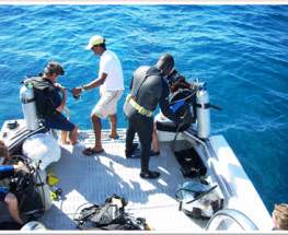 Scuba Diving Etiquette