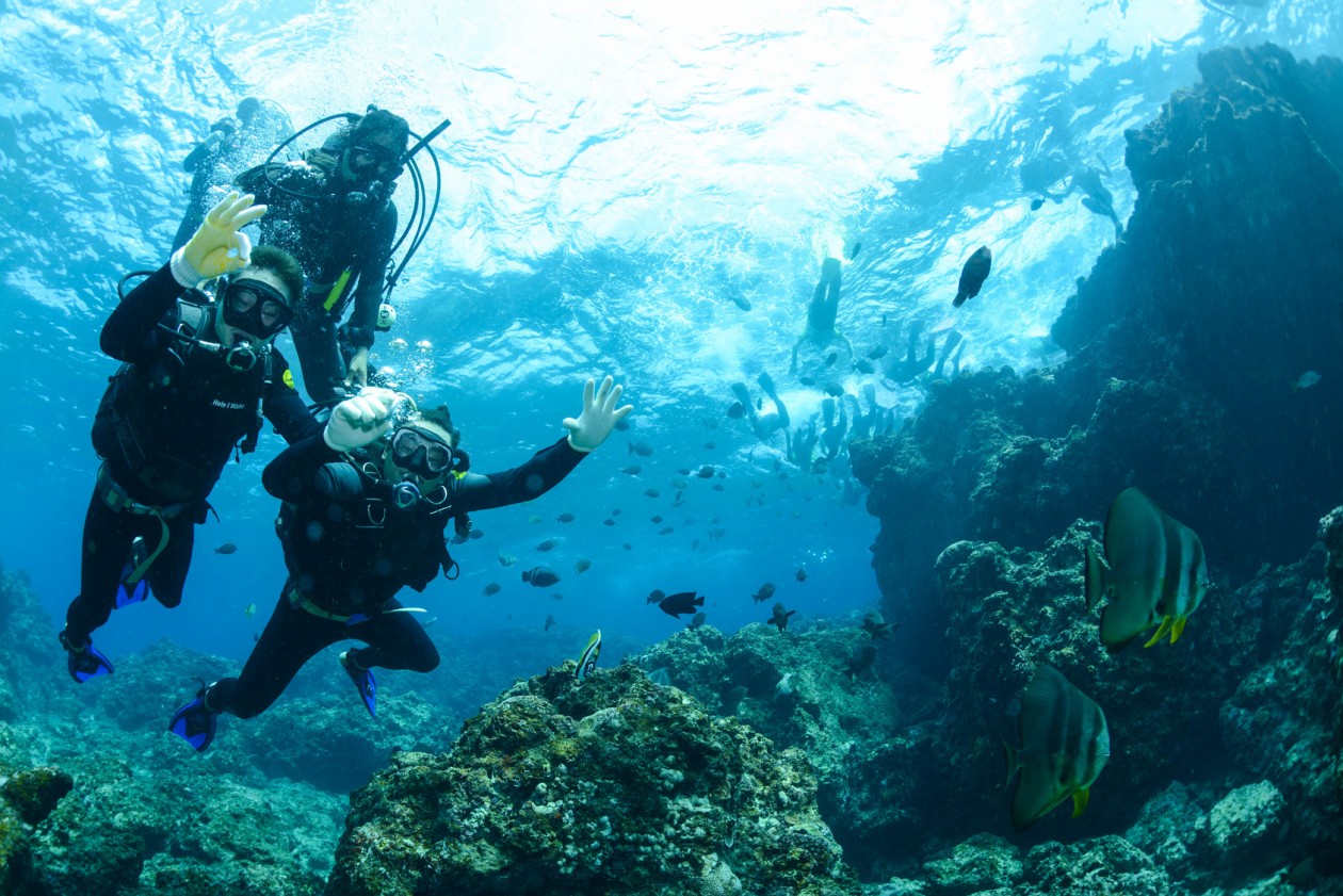 scuba diving experience short essay