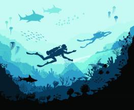 Scuba Diving with Sharks