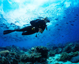 diving destinations