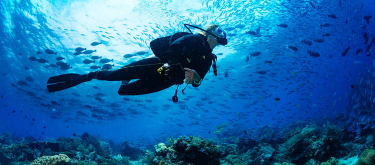 diving destinations