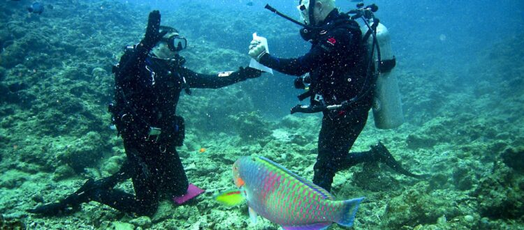 scuba diving instructors