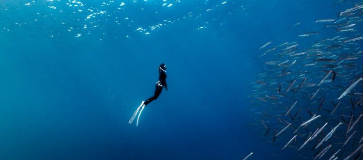 scuba diving lessons