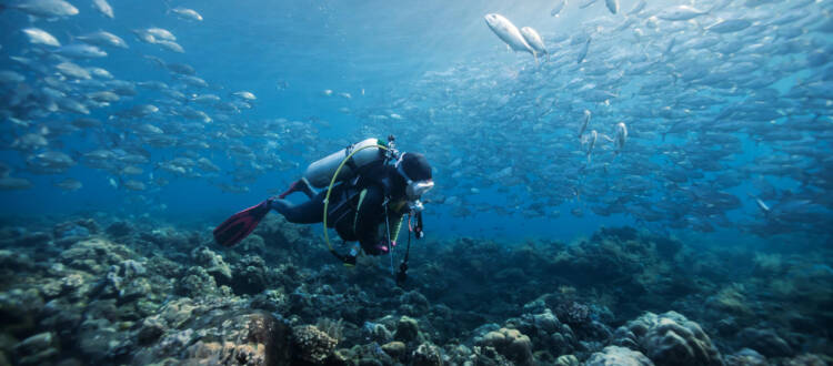 padi scuba diving