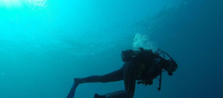Scuba Diving in NJ