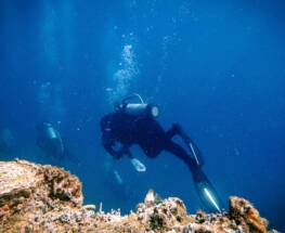 Scuba Diving in New Jersey