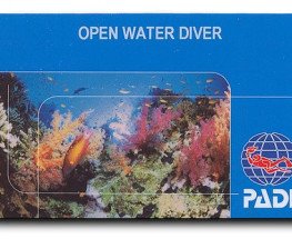 Diving License NJ