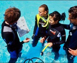 How To Get A Scuba Diving License