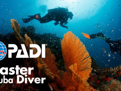PADI Master Scuba Diver Certification in NJ