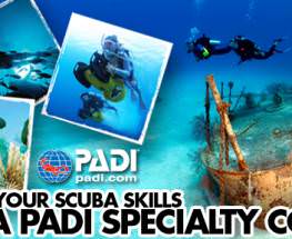 PADI Speciality Scuba Certifications NJ - Combo of 5
