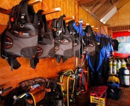 Scuba Diving Classes Near Me