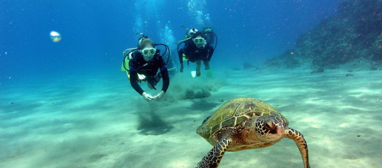 The 10 Best Scuba Diving Locations in the World