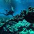 The Truth Behind Common Scuba Diving Myths